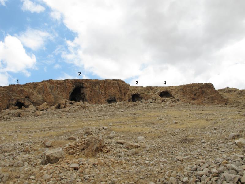 Fig. 7. South-facing Caves 1–4 of Mughr el-Hamamah. Cave 5 (right) is located approximately 30 m to the east. Only Cave 2—the main cave—has substantial in situ prehistoric deposits, and test excavations focused on the front chamber of this cave (courtesy Mughr el-Hamamah Project).