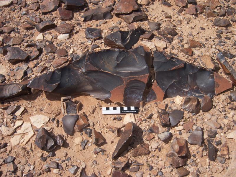Fig. 13. Cortical flake core from site RUW 1.17 in the larger Wadi Ruweishid flint-mining region (B. Müller-Neuhof).