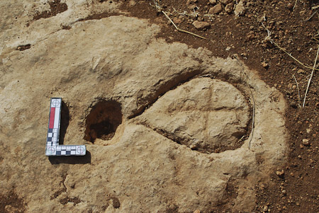 Fig. 16. Petroglyph site 2003 of the Jarash Hinterland Survey (courtesy Jarash Hinterland Survey Project).