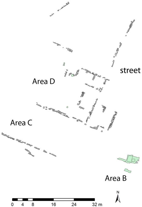 Fig. 23. Plan of Areas B, C, and D at Jarash, with a section of the street (courtesy Late Antique Jarash Project).