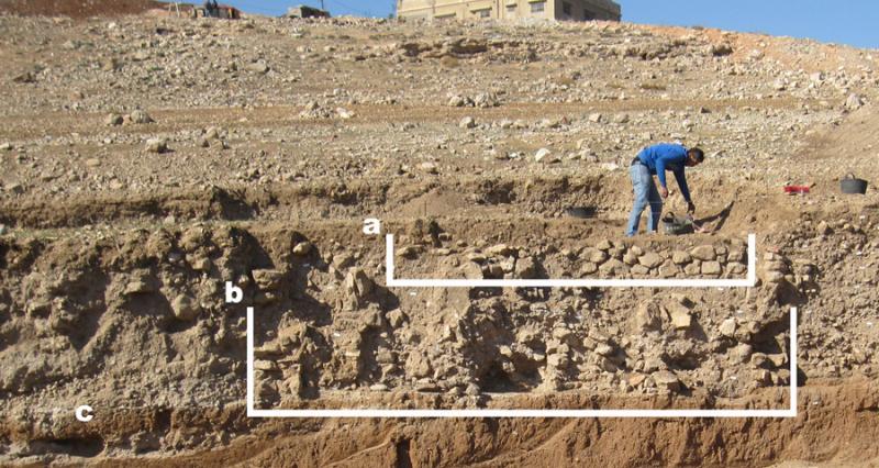 Fig. 30. West section III.1 in the West Field: a, remains of the Yarmoukian structure containing the burial; b, the Pre-Pottery Neolithic C house; c, the area sampled from Floor F-2 (G. Rollefson).