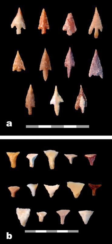 Fig. 35. Late Neolithic arrowheads from Structure W-66; a, Haparsa arrowheads; b, transverse arrowheads (G. Rollefson).