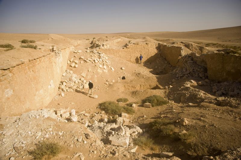 Fig. 46. Qasr Mushash survey, showing large birkeh located north of Qasr Mushash (K. Bartl).