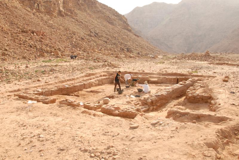 Fig. 58. Rectangular communal building in Area IV at Wadi Hamarash (A. Sampson).