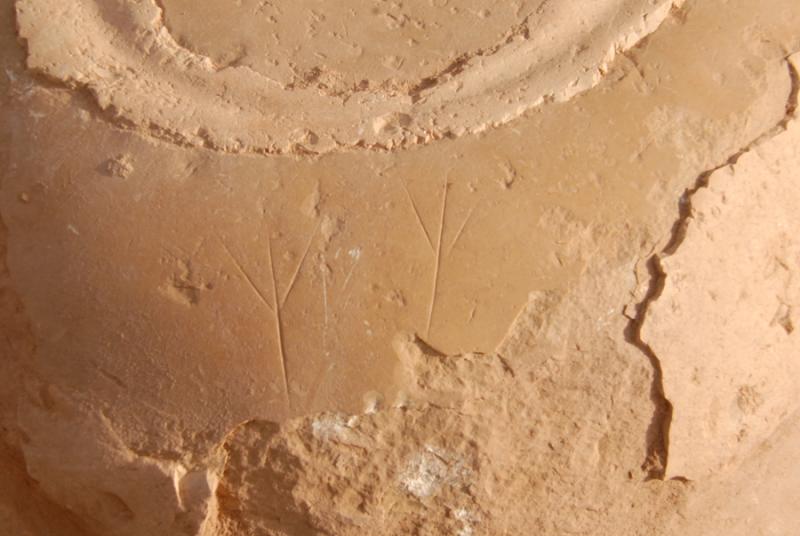 Fig. 59. Incised symbols on a flint nodule from Wadi Hamarash (A. Sampson).