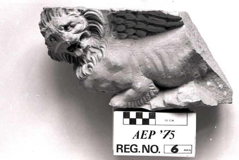 Fig. 74. Fragment of a "winged lion" from a capital on one of the columns around the podium in the cella of a temple in Petra. Original photograph from the American Expedition to Petra artifact registries (courtesy the American Center of Oriental Research and the Department of Antiquities of Jordan).