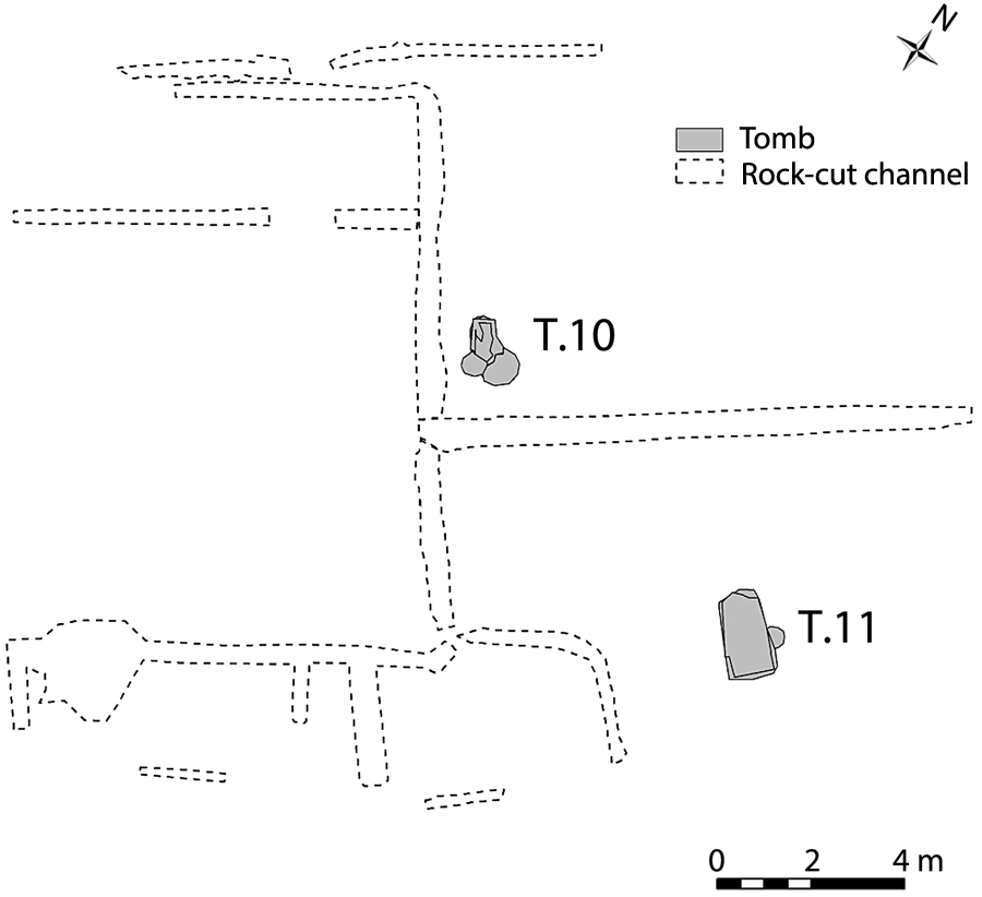 Fig. 1. Plan of Area A at Gabii, showing the location of Tombs 10 and 11.