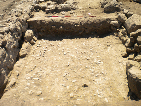 Fig. 3. Gabii, Area A, Road 3, detail of one of the road surfaces (via glareata), view from the north.