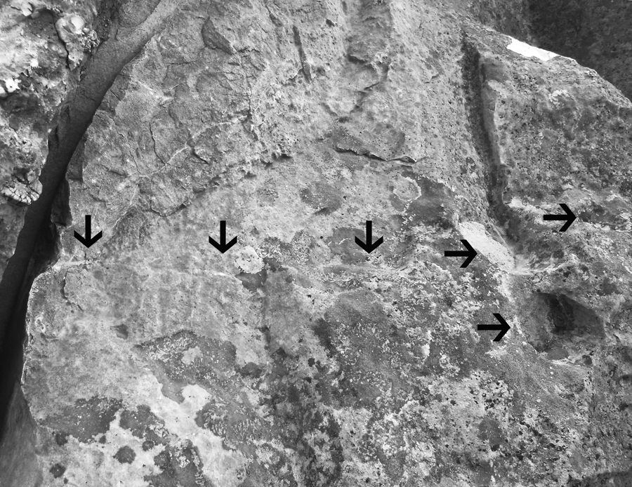Fig. 6. Left Lion, showing a detailed view of the remnant ledge. The arrows indicate the location of the ledge and drill holes.