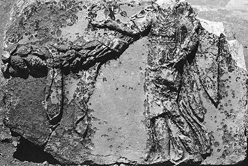 Fig. 6. Spandrel block from the Arch of Augustus with a Victory and garland depicted in relief (G.R. Swain, archive photograph, 1924, no. 7.1139, Pisidian Antioch excavation archive, Kelsey Museum of Archaeology, University of Michigan; courtesy Kelsey Museum of Archaeology).