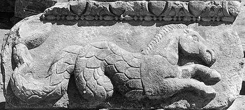 Fig. 13. Frieze block from the Arch of Hadrian and Sabina with a hippocamp depicted in relief (G.R. Swain, archive photograph, 1924, no. 5.0213, Pisidian Antioch excavation archive, Kelsey Museum of Archaeology, University of Michigan; courtesy Kelsey Museum of Archaeology).