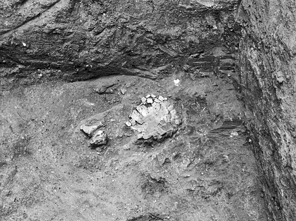 Fig. 6. Carapace 1 in situ, upside down in the fill of the Mudbrick Vault during excavation (courtesy Penn Museum, Gordion Project Archives, image no. GR 62-19).
