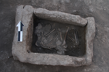 Fig. 1. Middle Helladic–LH I clay cist tomb with articulated skeleton of a child excavated in trench NWB1b.