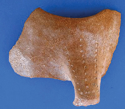 Fig. 6. A Sabir culture sherd from Aden region, excavated at Mersa/Wadi Gawasis.