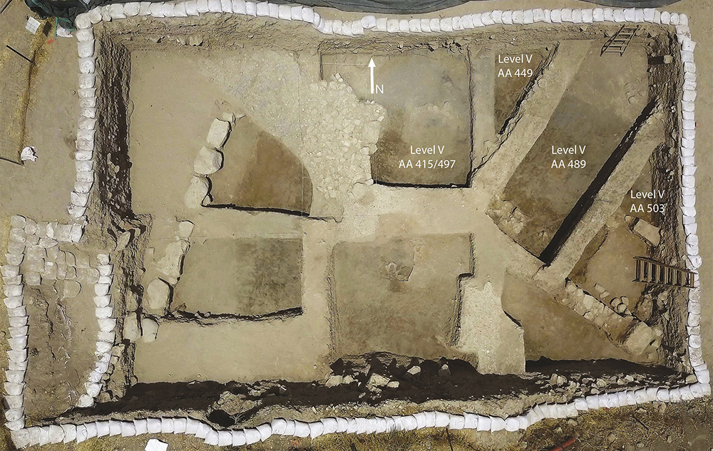 Fig. 9. General view of the Level V remains in Area AA. White sandbags secure the balks.