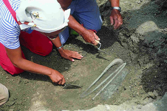 Fig. 9. The excavation of the "bronzes" from TP 284A (Pian di Civita) (Tarquinia Project).