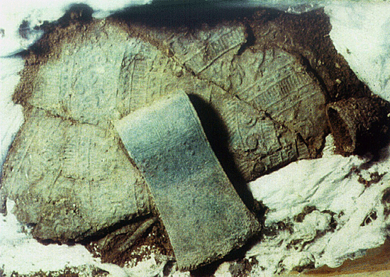 Fig. 10. The axe below the shield from TP 284A (Pian di Civita) (Tarquinia Project).