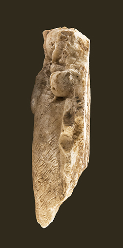 Fig. 4. Relief fragment with a griffin head from the Forum Portico, right side. Consorcio de la Ciudad Monumental de Mérida, inv. no. 12020/372/1 (C. López).
