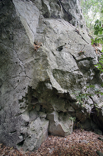 Fig. 10. Fractured surface of the cliff face above ground near the <em>cippi</em> (R. Taylor).