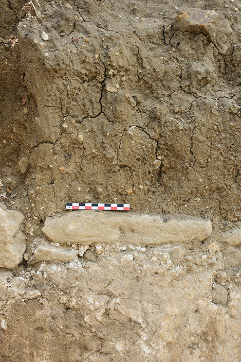 Fig. 4. Upper portion of the south wall of the frigidarium (Room 1); detail of pisé (above) and plastered (below) wall (scale: 10 cm).