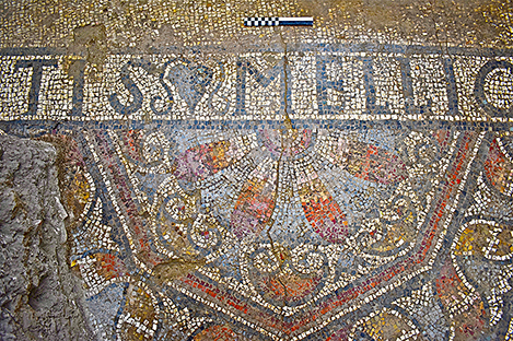 Fig. 8. Detail of the mosaic on the east side of the frigidarium (Room 1) (scale: 20 cm).